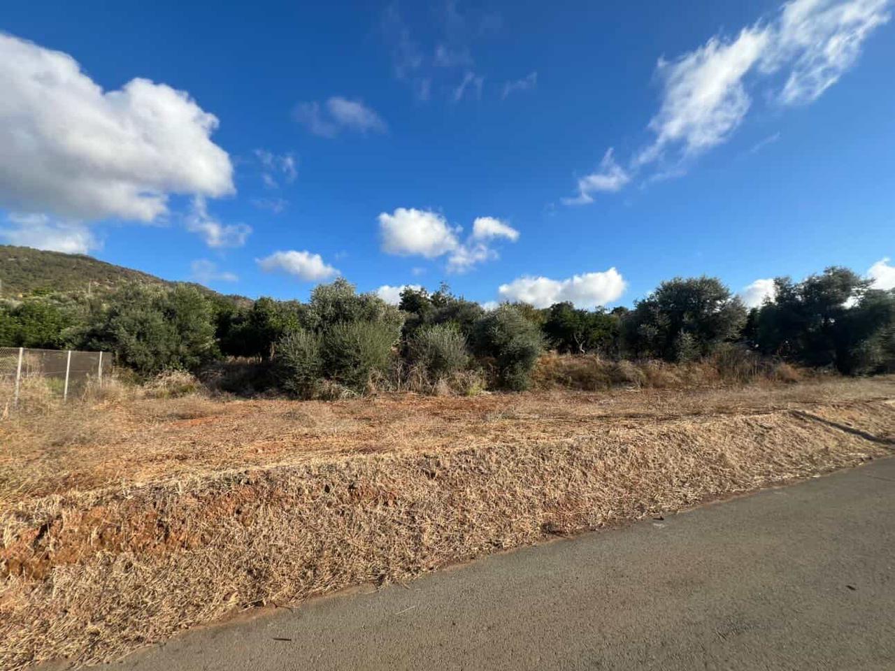 ΠΩΛΕΙΤΑΙ 1,934 Τ.Μ. ΟΙΚΙΣΤΙΚΟ ΟΙΚΟΠΕΔΟ ΣΤΑ ΝΕΑ ΔΗΜΜΑΤΑ-ΠΑΦΟΣ-ID 002241822